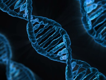 CA28 mRNAワクチンが教える「キャプティブの効用」What mRNA vaccines can teach us about the benefits of captives